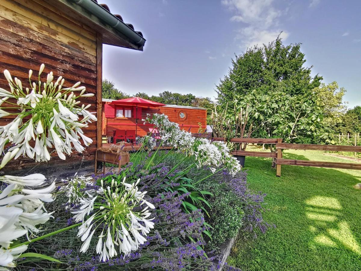 Hostal La Roulotte Du Cagire - 4 Pers - Pyrenees Villeneuve-de-Rivière Exterior foto